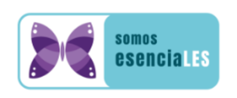 Esenciales-head